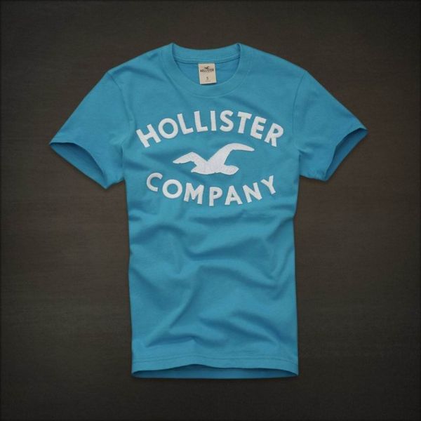 Hollister Men Short T-shirt 20120722 196