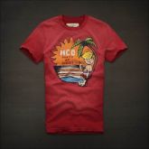 Hollister Men Short T-shirt 20120722 211