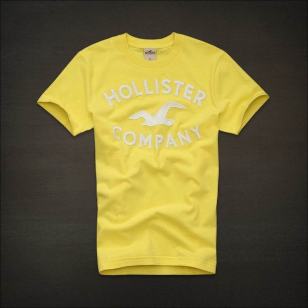 Hollister Men Short T-shirt 20120722 219