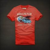 Hollister Men Short T-shirt 20120722 213