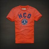 Hollister Men Short T-shirt 20120722 215