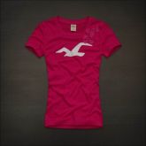 Hollister Women Short T-shirt 20120722 067