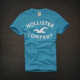 Hollister Men Short T-shirt 20120722 196
