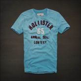 Hollister Men Short T-shirt 20120722 197