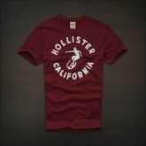 Hollister Men Short T-shirt 20120722 206