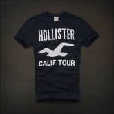 Hollister Men Short T-shirt 20120722 162